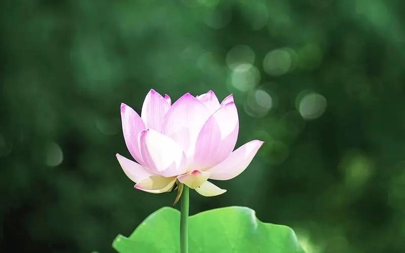 读：牌阵与深度解析指南开元棋牌塔罗牌财运